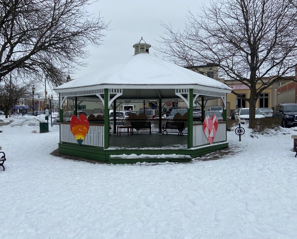 Snowy Town Center